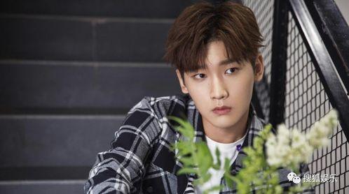 杨旭文娱乐吃小瓜,揭秘明星幕后趣事