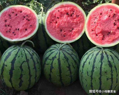 免费吃瓜官网免费,畅享美食盛宴，尽享免费福利！