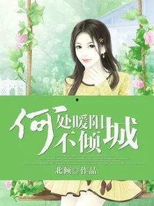 娱乐吃瓜作品有哪些小说,从吃瓜群众到幕后推手