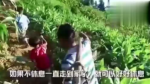 情人节娱乐吃瓜视频